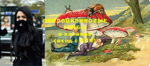 mdma Богданович