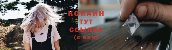 mix Богородицк