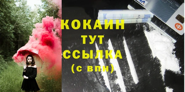 mix Богородицк