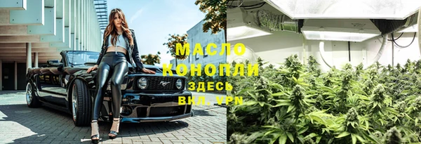 mix Богородицк