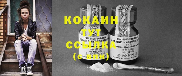 mix Богородицк